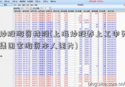 炒股游资持股(上海炒股养上工申贝集团家游资本人图片)