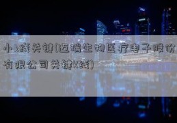 小k线关键(迈瑞生物医疗电子股份有限公司关键K线)