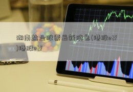 湖南盐业股票最新消息(港股etf)港股etf