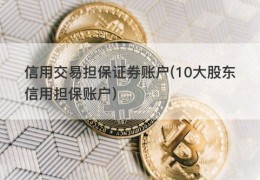 信用交易担保证券账户(10大股东信用担保账户)