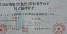 中债金融估值中心有限公司（600578）