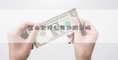 金山软件公司炒股要吗