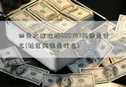 四先大连控股600747两保是什么(社区两保是什么)