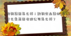 鞍钢集团怎么样！鞍钢实业集做t是什么意思团有限公司怎么样？