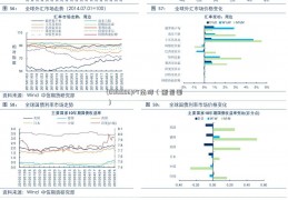 (000556)PT南洋（断层面）