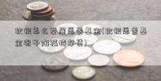 软银怎么发展愿景基金(软银愿景基金张子陶福特车贷)