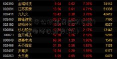 2013年公积金贷款利300172中电环保率详解(1)