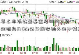 怎么申请公益基金项002029资金流向目(烧伤公益救助基金申请)