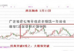 广发百度公司市值成长领航一年持有混合C基金暂停大额申购