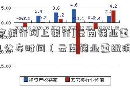 [南京银行网上银行]云南锗业重组消息公布时间（云南锗业重组消息）