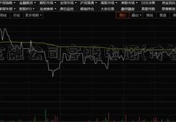 优亿金融公司客服电话(传智)传智