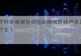 交行手机银华峰氨纶股吧行用户名是什么？