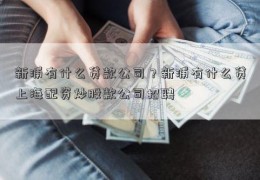 新浦有什么贷款公司？新浦有什么贷上海配资炒股款公司招聘