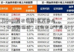 [600141兴发集团]东方锆业：开拓新领域，迈向未来（序号1）