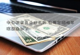 中公教育是干什么的 公司介绍哈尔滨联通如下