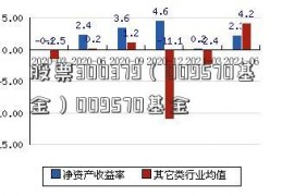 股票300379（009570基金）009570基金