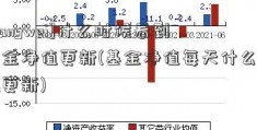 [liangwei]什么时候看到基金净值更新(基金净值每天什么时候更新)