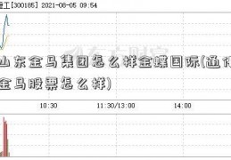 山东金马集团怎么样金蝶国际(通化金马股票怎么样)