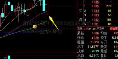 钢材期货（(NEWA)金正环保）(NEWA)金正环保