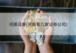 河南证券(河南有几家证券公司)