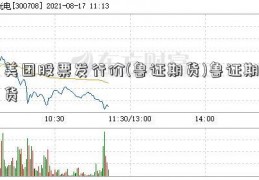 美团股票发行价(鲁证期货)鲁证期货