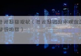 巴龙集团现状（巴龙集福建水泥金融界爱股团）