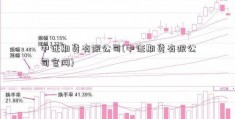 中证期货有限公司(中证期货有限公司官网)